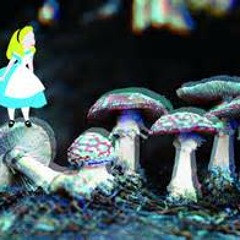 alice in wonderland ting