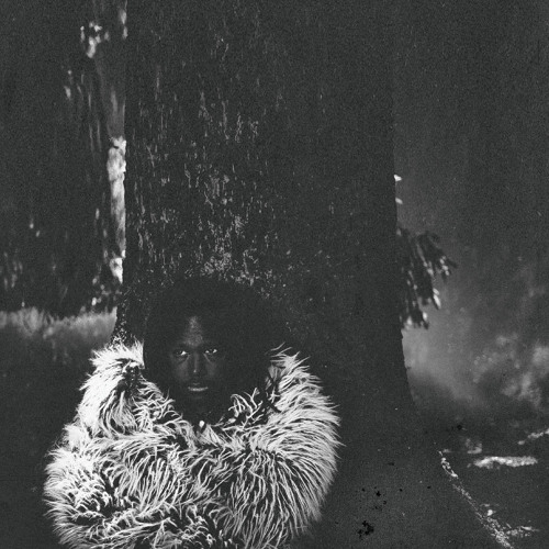 Gaëtan Streel - The Meaning