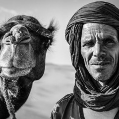 نواح صياد الصقور