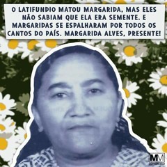 Margarida - Pereira da Viola