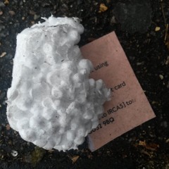 indecision turning into mild amusement