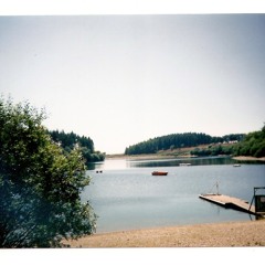 Made Up Lovesong #43 - The Guillemots