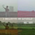Artwork for 28 What Kind Of Music Do You Like.MP3
