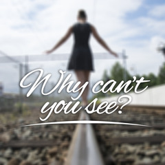 Why Can't You See? (feat. Ruben Hultman)