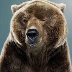 Bear (Original Mix)