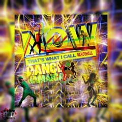 SUMMER JAM // DANCE MIX 2015 // DJ TRVP