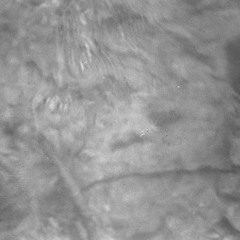 Asfast - Cocooning [V_003]