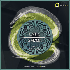 Entik - Gamma (Ron Costa Remix) [NOCODE]
