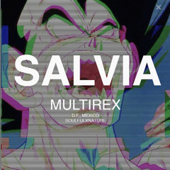 Multirex  -  サルビア
