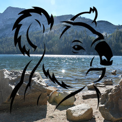 What The Hell Is Going On (Original Mix) | Free Download