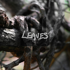 Two Down // Leaves (from The Two Lost Boys)