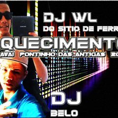 AQUECIMENTO DO AVAI  PONTINHO DAS ANTIGAS  2015  (( DJ BELO DE NTR & DJ WL DO SITIO DE FERRO ))