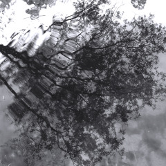 Ashot Danielyan - August 14,