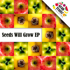 Torben Kammilla - Showdown [GFR 001 - Seeds Will Grow EP]