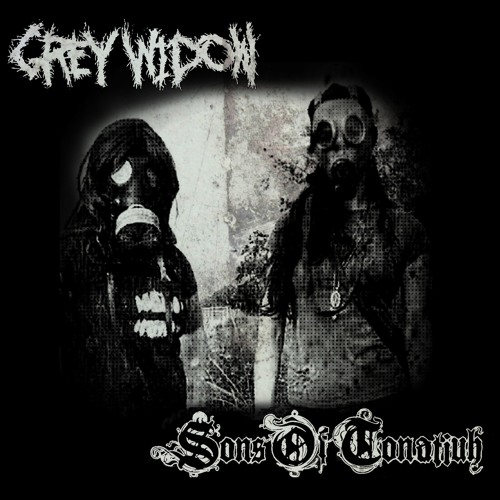2-grey-widow-obey