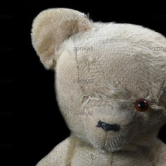 Dein Teddy ist immer bei dir!