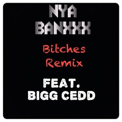 Nya Banxxx Bitches Remix Feat Bigg Cedd