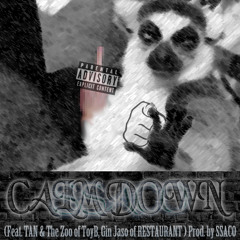 02. Calm Down (Feat. TAN, The Zoo & Gin Jaso)