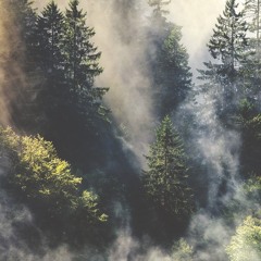 Little Dragon - Scribbled Paper (midsagittal remix)