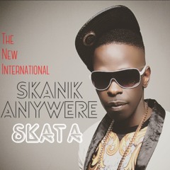 Skata - Skank Anywere (Monday2Monday Skank)