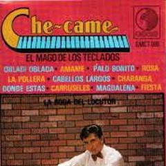 Checame el mago de los teclados Rosa