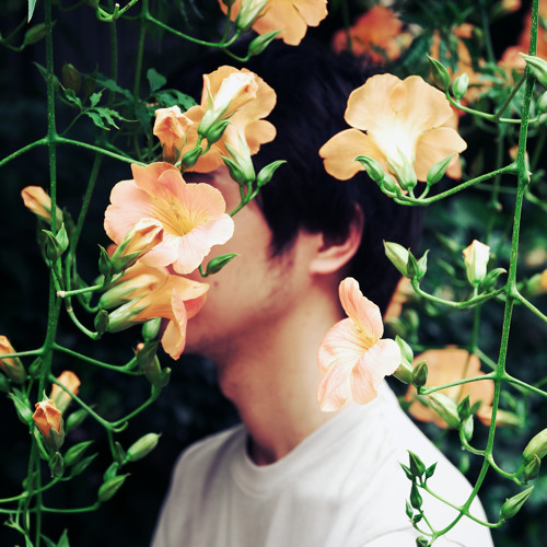 彼女が冷たく笑ったら (Exitpost Remix)