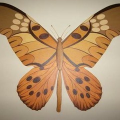 beautiful broken butterfly