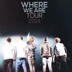 One Direction - Midnight Memories (WWA Tour)