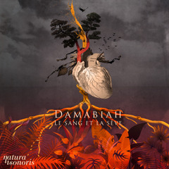Damabiah - Irminsul, Le Pilier Du Monde (Original Mix)
