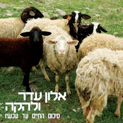 קצת אהבה לא תזיק