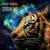 Artwork for Anton Ishutin-Show Me
