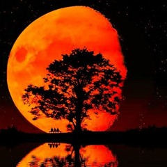 Alex H - Blood Moon (Lumidelic Version)[Free DL]