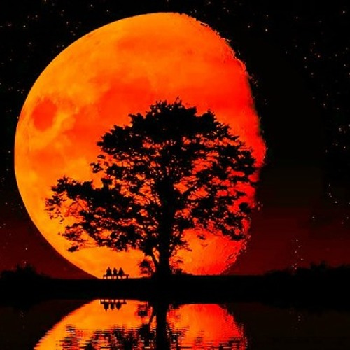 Alex H - Blood Moon (Lumidelic Version)[Free DL]