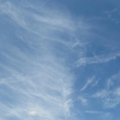 ดาวตก cover