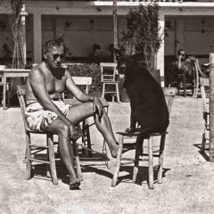 Darmadağın