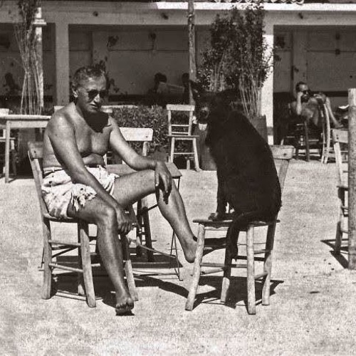 Darmadağın