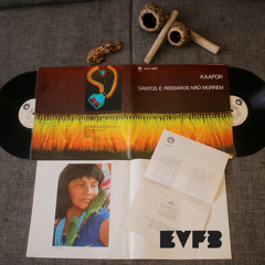 EVFB MIX: PAB - 1 - Passive/Agressive Blog - Primeiro - Experimental Brazil Vinyl
