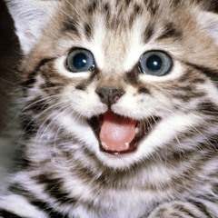 Dj Ali Breezy 2K15 Sweet Sex Mixtape Vol 1