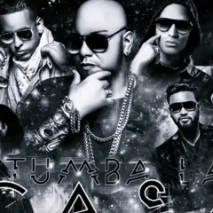 Tumba La Casa (Remix)