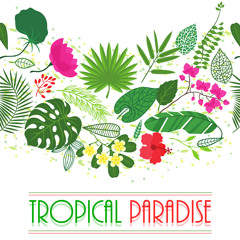 Tropical Paradise - 80 NI Massive Presets for Tropical House