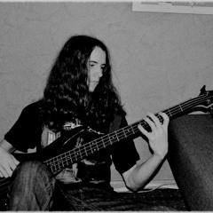 The Offspring - Turning Into You (Bass Cover)