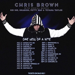 Chris Brown : Hell of a night Tour. MIX