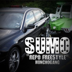 Sumo-Repo Freestyle