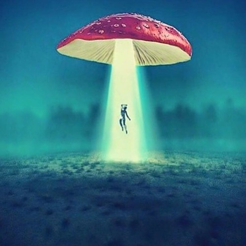 Stream Opening Set For Hypnagog Plutonium Klub Chill Floor 31 07 2015