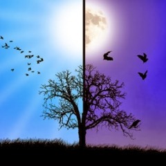 DAY AND NIGHT (The Archives)