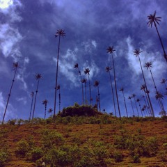 Riptide (Tropical House Edit)