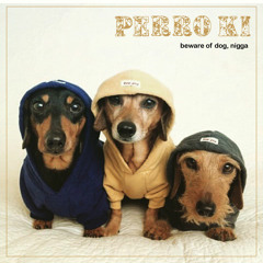 Perro Ki // beware of dog, nigga