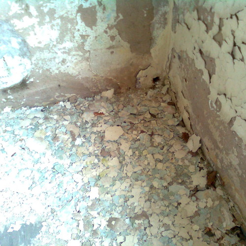 Die Ratten Hof - Vorne Und Hinten