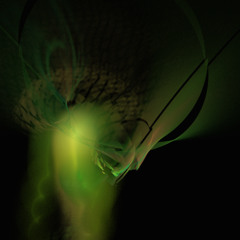 Digital Frippertronics