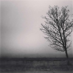 17.01.13